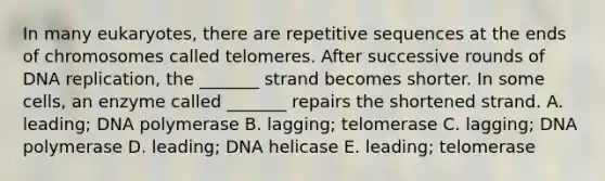 In many eukaryotes, there are repetitive sequences at the ends of chromosomes called telomeres. After successive rounds of <a href='https://www.questionai.com/knowledge/kofV2VQU2J-dna-replication' class='anchor-knowledge'>dna replication</a>, the _______ strand becomes shorter. In some cells, an enzyme called _______ repairs the shortened strand. A. leading; DNA polymerase B. lagging; telomerase C. lagging; DNA polymerase D. leading; DNA helicase E. leading; telomerase