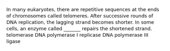 In many eukaryotes, there are repetitive sequences at the ends of chromosomes called telomeres. After successive rounds of <a href='https://www.questionai.com/knowledge/kofV2VQU2J-dna-replication' class='anchor-knowledge'>dna replication</a>, the lagging strand becomes shorter. In some cells, an enzyme called _______ repairs the shortened strand. telomerase DNA polymerase I replicase DNA polymerase III ligase