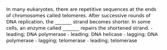 In many eukaryotes, there are repetitive sequences at the ends of chromosomes called telomeres. After successive rounds of DNA replication, the _______ strand becomes shorter. In some cells, an enzyme called _______ repairs the shortened strand. - leading; DNA polymerase - leading; DNA helicase - lagging; DNA polymerase - lagging; telomerase - leading; telomerase