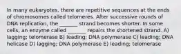 In many eukaryotes, there are repetitive sequences at the ends of chromosomes called telomeres. After successive rounds of DNA replication, the _______ strand becomes shorter. In some cells, an enzyme called _______ repairs the shortened strand. A) lagging; telomerase B) leading; DNA polymerase C) leading; DNA helicase D) lagging; DNA polymerase E) leading; telomerase