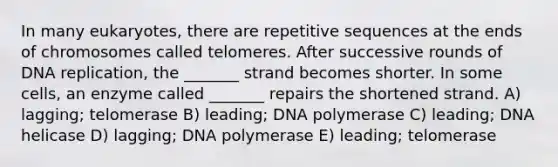 In many eukaryotes, there are repetitive sequences at the ends of chromosomes called telomeres. After successive rounds of DNA replication, the _______ strand becomes shorter. In some cells, an enzyme called _______ repairs the shortened strand. A) lagging; telomerase B) leading; DNA polymerase C) leading; DNA helicase D) lagging; DNA polymerase E) leading; telomerase