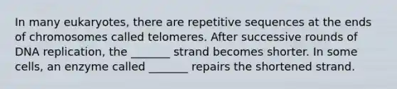 In many eukaryotes, there are repetitive sequences at the ends of chromosomes called telomeres. After successive rounds of DNA replication, the _______ strand becomes shorter. In some cells, an enzyme called _______ repairs the shortened strand.