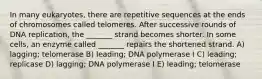 In many eukaryotes, there are repetitive sequences at the ends of chromosomes called telomeres. After successive rounds of DNA replication, the _______ strand becomes shorter. In some cells, an enzyme called _______ repairs the shortened strand. A) lagging; telomerase B) leading; DNA polymerase I C) leading; replicase D) lagging; DNA polymerase I E) leading; telomerase