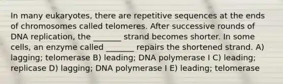 In many eukaryotes, there are repetitive sequences at the ends of chromosomes called telomeres. After successive rounds of <a href='https://www.questionai.com/knowledge/kofV2VQU2J-dna-replication' class='anchor-knowledge'>dna replication</a>, the _______ strand becomes shorter. In some cells, an enzyme called _______ repairs the shortened strand. A) lagging; telomerase B) leading; DNA polymerase I C) leading; replicase D) lagging; DNA polymerase I E) leading; telomerase