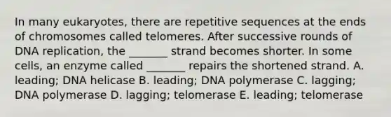 In many eukaryotes, there are repetitive sequences at the ends of chromosomes called telomeres. After successive rounds of <a href='https://www.questionai.com/knowledge/kofV2VQU2J-dna-replication' class='anchor-knowledge'>dna replication</a>, the _______ strand becomes shorter. In some cells, an enzyme called _______ repairs the shortened strand. A. leading; DNA helicase B. leading; DNA polymerase C. lagging; DNA polymerase D. lagging; telomerase E. leading; telomerase