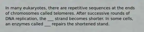 In many eukaryotes, there are repetitive sequences at the ends of chromosomes called telomeres. After successive rounds of DNA replication, the ___ strand becomes shorter. In some cells, an enzymes called ___ repairs the shortened stand.