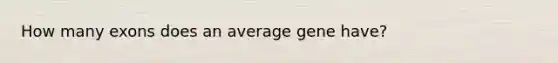 How many exons does an average gene have?