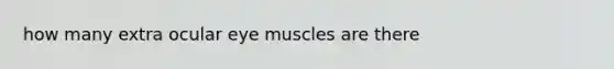 how many extra ocular eye muscles are there