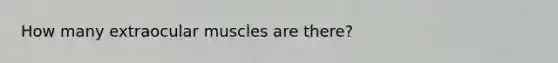 How many extraocular muscles are there?