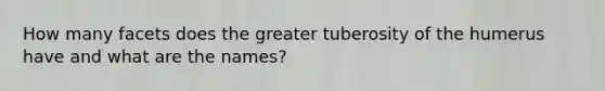 How many facets does the greater tuberosity of the humerus have and what are the names?