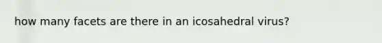 how many facets are there in an icosahedral virus?