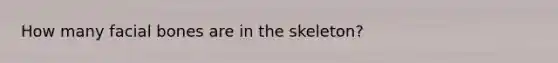 How many facial bones are in the skeleton?