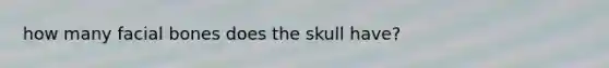 how many facial bones does the skull have?