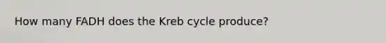 How many FADH does the Kreb cycle produce?