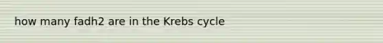 how many fadh2 are in the Krebs cycle