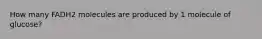 How many FADH2 molecules are produced by 1 molecule of glucose?