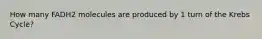 How many FADH2 molecules are produced by 1 turn of the Krebs Cycle?