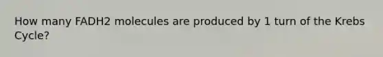 How many FADH2 molecules are produced by 1 turn of the Krebs Cycle?