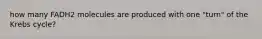 how many FADH2 molecules are produced with one "turn" of the Krebs cycle?
