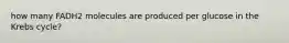 how many FADH2 molecules are produced per glucose in the Krebs cycle?