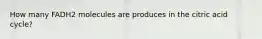 How many FADH2 molecules are produces in the citric acid cycle?