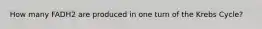 How many FADH2 are produced in one turn of the Krebs Cycle?