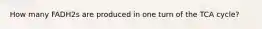How many FADH2s are produced in one turn of the TCA cycle?