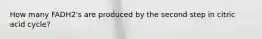 How many FADH2's are produced by the second step in citric acid cycle?