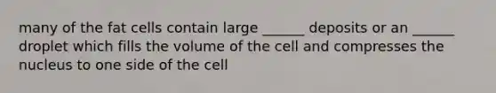 many of the fat cells contain large ______ deposits or an ______ droplet which fills the volume of the cell and compresses the nucleus to one side of the cell