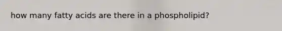 how many fatty acids are there in a phospholipid?