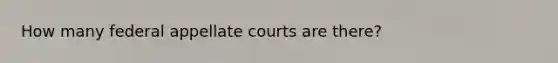 How many federal appellate courts are there?