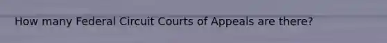 How many Federal Circuit Courts of Appeals are there?