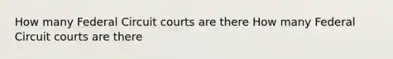 How many Federal Circuit courts are there How many Federal Circuit courts are there