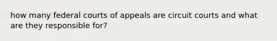 how many federal courts of appeals are circuit courts and what are they responsible for?