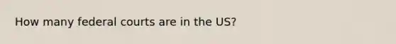 How many federal courts are in the US?