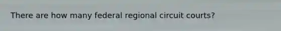 There are how many federal regional circuit courts?