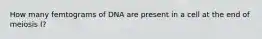 How many femtograms of DNA are present in a cell at the end of meiosis I?