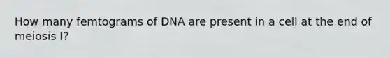 How many femtograms of DNA are present in a cell at the end of meiosis I?