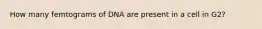 How many femtograms of DNA are present in a cell in G2?