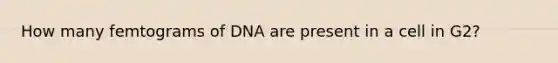 How many femtograms of DNA are present in a cell in G2?