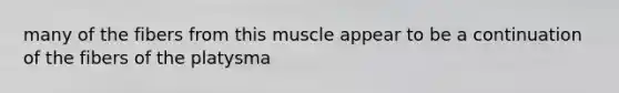 many of the fibers from this muscle appear to be a continuation of the fibers of the platysma