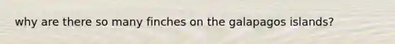 why are there so many finches on the galapagos islands?