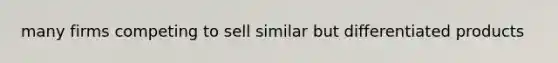 many firms competing to sell similar but differentiated products
