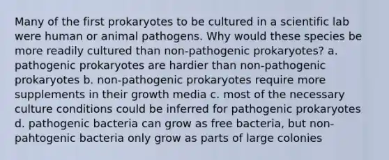 Many of the first prokaryotes to be cultured in a scientific lab were human or animal pathogens. Why would these species be more readily cultured than non-pathogenic prokaryotes? a. pathogenic prokaryotes are hardier than non-pathogenic prokaryotes b. non-pathogenic prokaryotes require more supplements in their growth media c. most of the necessary culture conditions could be inferred for pathogenic prokaryotes d. pathogenic bacteria can grow as free bacteria, but non-pahtogenic bacteria only grow as parts of large colonies