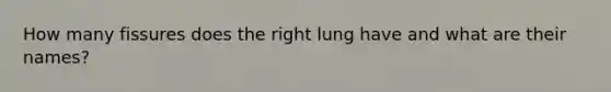 How many fissures does the right lung have and what are their names?