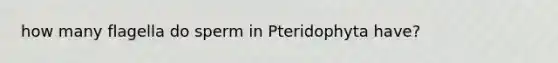 how many flagella do sperm in Pteridophyta have?