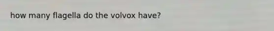 how many flagella do the volvox have?