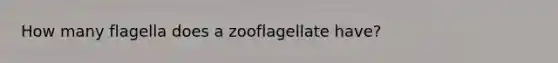 How many flagella does a zooflagellate have?