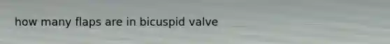 how many flaps are in bicuspid valve