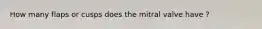 How many flaps or cusps does the mitral valve have ?